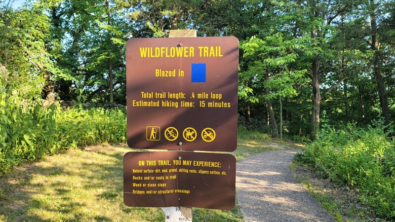 Wildflower Trailhead