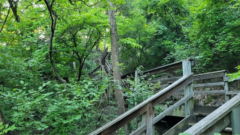 Stairs at the Kimmswick Bone Bed