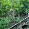 Stairs at the Kimmswick Bone Bed