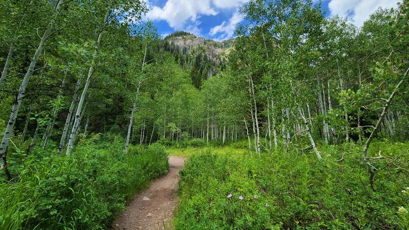 View from the trail