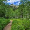 View from the trail