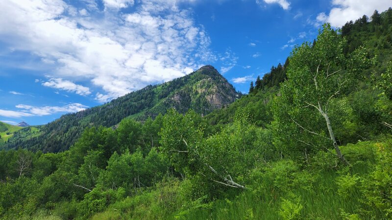 View from the trail