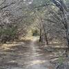 Fence Line Trail.