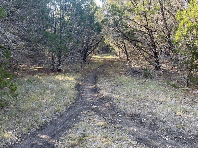 Trailhead for Bushy Back.