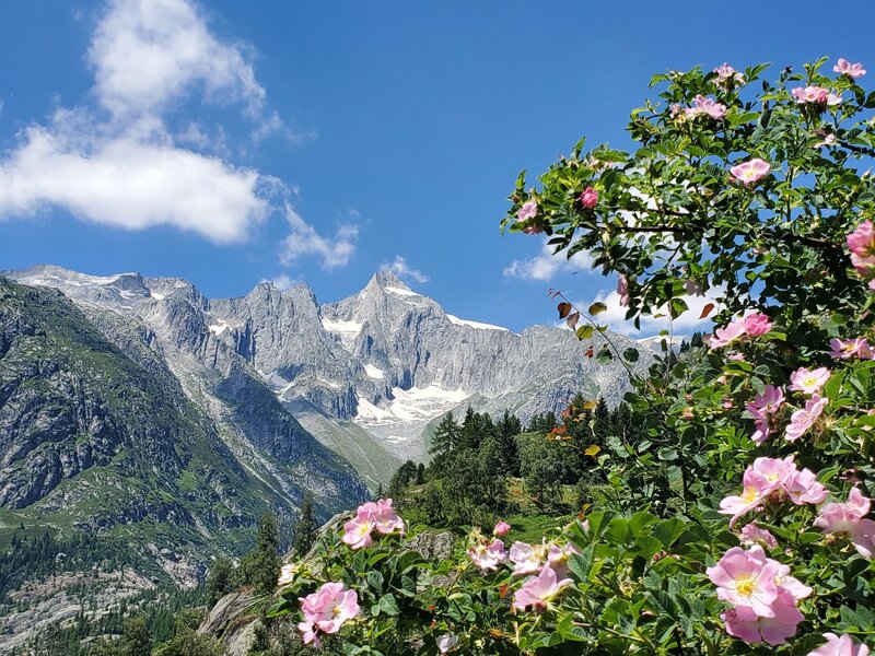 Looking up towards the Grosses Wannenhorn.