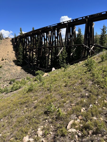 Trestle at the end of Roger's pass, Riflesight #96 is immediately to the right of this, and not very well marked