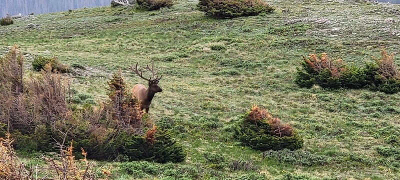 Driving through RMNP