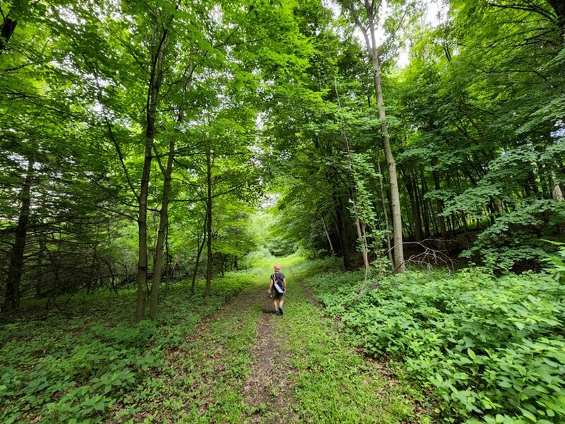 Returning to the trailhead on the upland side of the second loop.