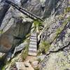 An example of some of the steps and ramps to help hikers over steep rock sections