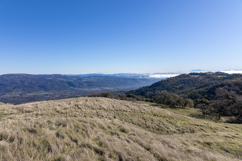 Sonoma Valley on the ascent to Park Summit.