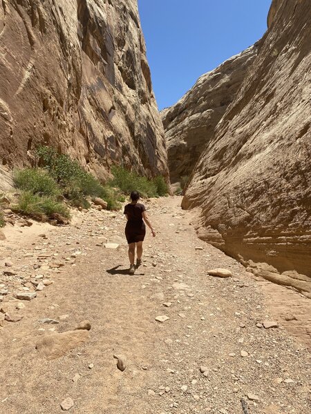 Hiking Capitol Gorge