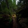 Part of Narnia Trail - a pathway between two large mossy rocks.