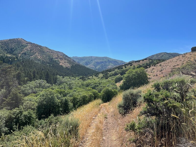 A view of Scout Mountain looking up Bell Marsh Canyon.