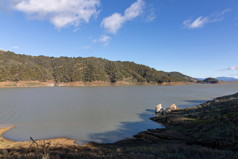 Lake Sonoma, just below the picnic site.