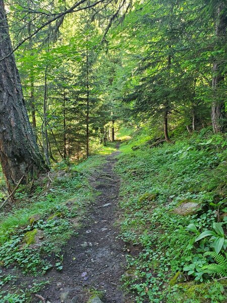 Typical conditions on the non-road part of this ascent.