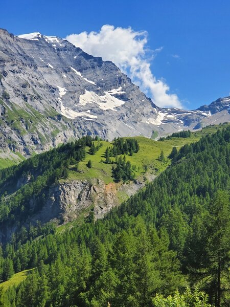 Looking up-valley from the climb up.