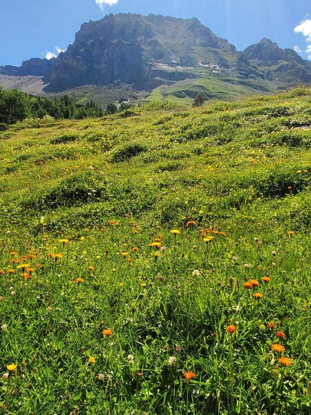 Don't forget to look south from the trail - towards the other valley wall!