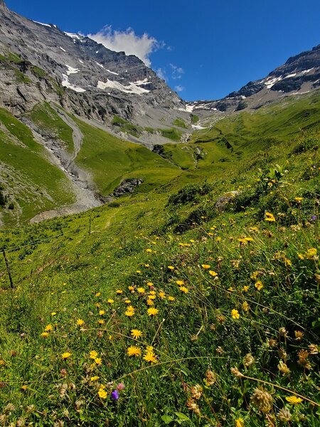 Looking up-valley, several high snow fields in mid-July.