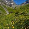 Looking up-valley, several high snow fields in mid-July.