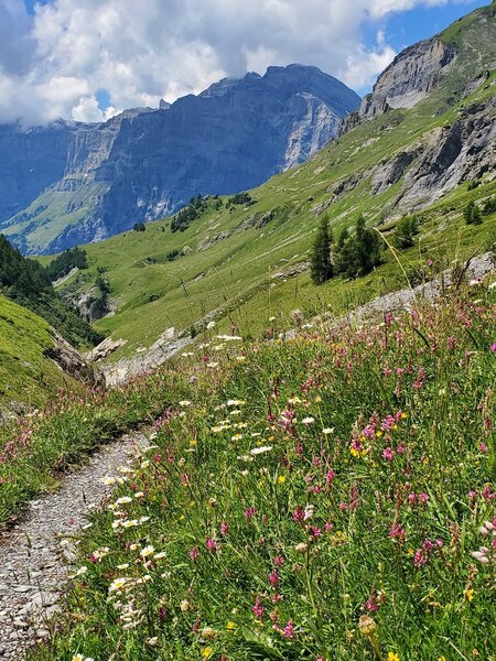 Looking towards Leukerbad and the towering Daubenhorn and Leeshorner peaks.