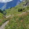 Looking towards Leukerbad and the towering Daubenhorn and Leeshorner peaks.