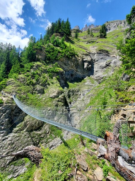 Surprise suspension bridge!