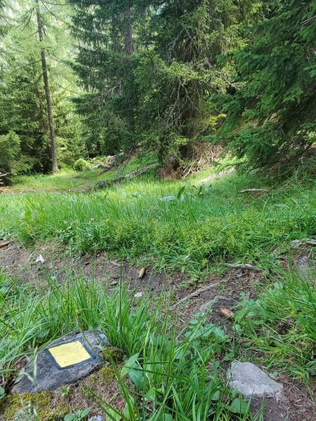 Some older yellow diamond trail markers on this steep section of trail.