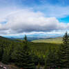 The view along a trail to Pikes Peak