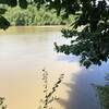 View of Congaree River at SE corner of River Trail