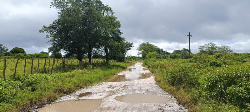 Estradão. Boa opção para longas distâncias e percursos diversos.