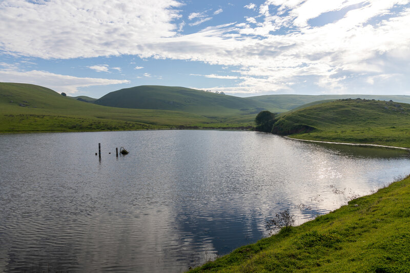 Vista Pond