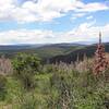 View from near Basalt Mountain Road from Mill Creek Trail.