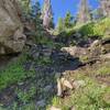 Slightly technical portion with slippery spring. Many times in this hike, you'll encounter difficult trail finding spots to attain ridges of rock faces.