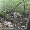 Trail to get to the waterfall.