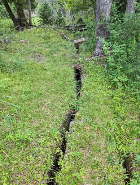 Cracks in the rocks making up the ground.