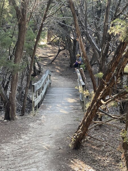 Small bridge on Sidewinder trail.