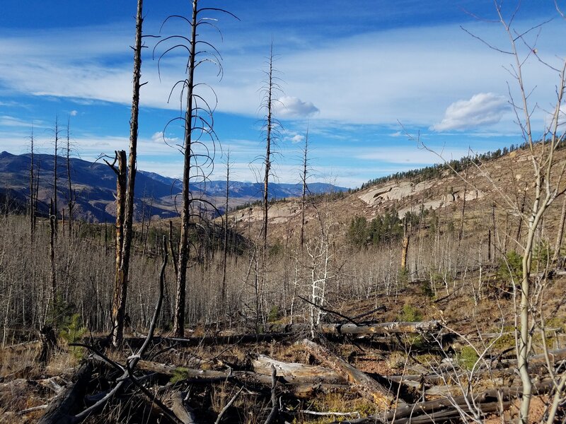 Trail hikes through Hayman Fire burn scar.