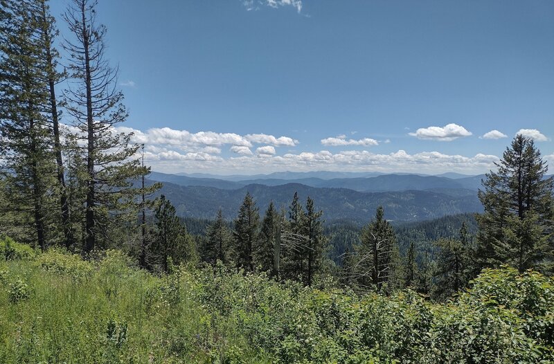 Forested hills stretch into the distance when looking southeast from the Canfield Mountain summit lookout.