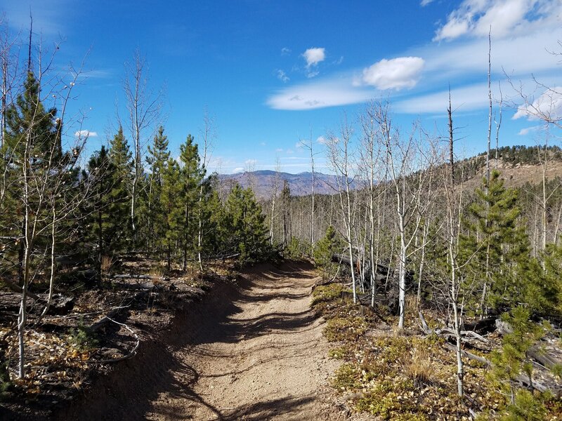 ATV Trail edges Hayman Fire Burn Scar.