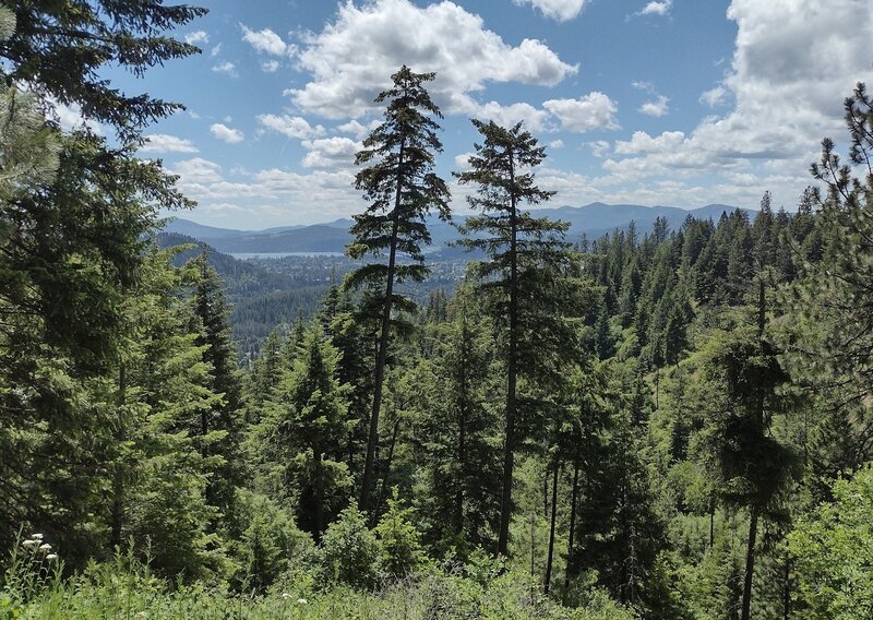 Lake Coeur d'Alene appears to the south as the trail climbs higher on Canfield Mountain.