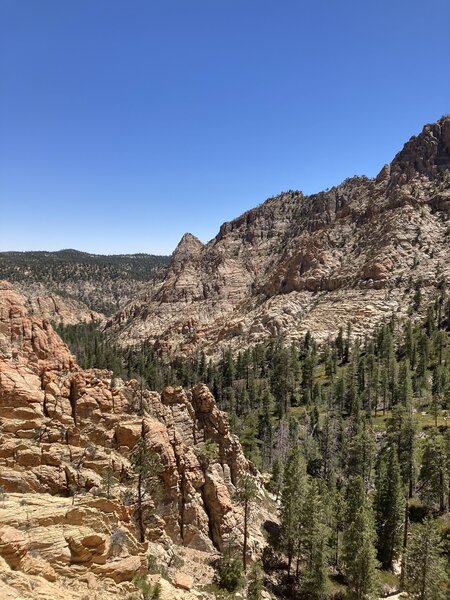 Looking south into Box Death Hollow Wilderness.