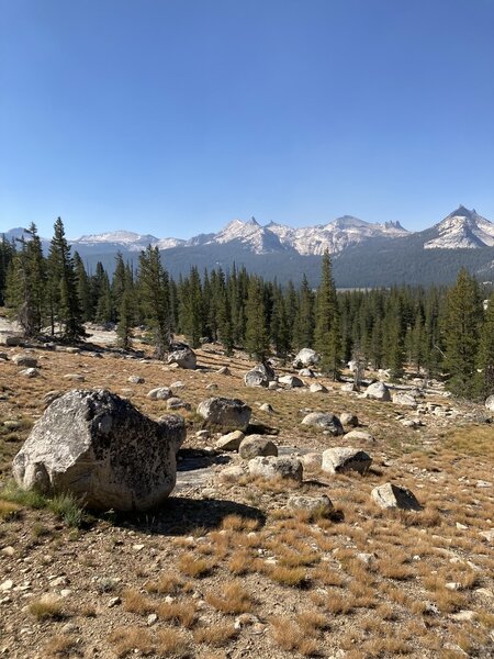 Looking SE towards end of trail.