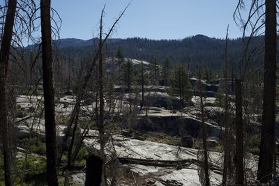 The trail descends through a forest of polished granite and burned dead trees as it approaches Yosemite Creek.