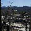 The trail descends through a forest of polished granite and burned dead trees as it approaches Yosemite Creek.