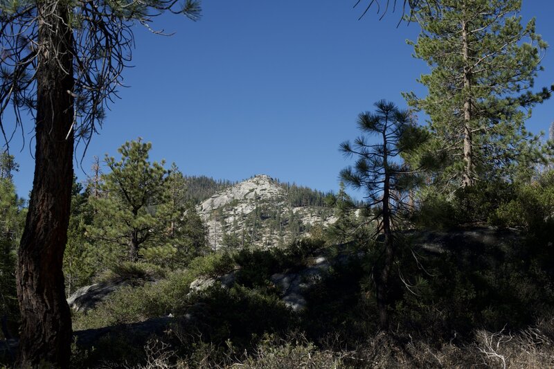 Granite domes can be spotted through the forest as you descend through the Yosemite Creek drainage.