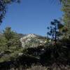 Granite domes can be spotted through the forest as you descend through the Yosemite Creek drainage.