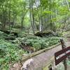 Bridge to the picnic area.