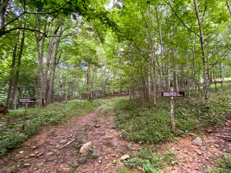 Well-marked intersection on the trail.