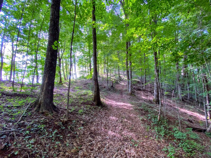 Approaching the viewpoint on the trail.