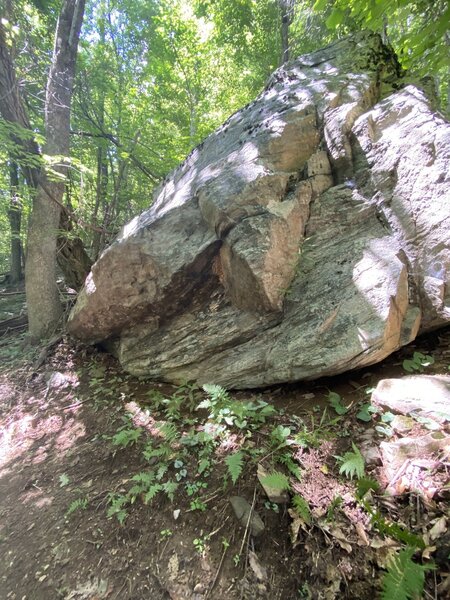 First Boulder you encounter on the trail.